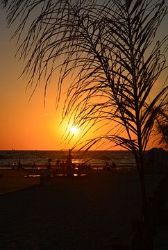 Herzlyia strand zonsondergang van Henriette Tischler van Sleen