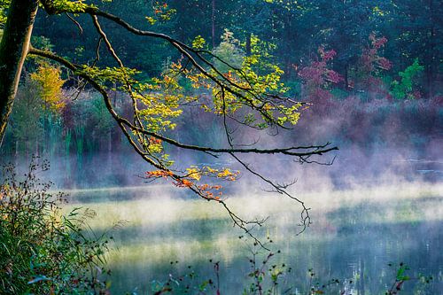 Autumnmood | Twickel Delden (4)