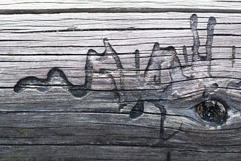 Kunstwerk aus der Natur