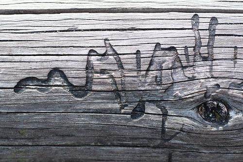 Une œuvre d'art inspirée de la nature