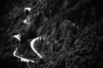 Bergweg 2 van Bart Rondeel