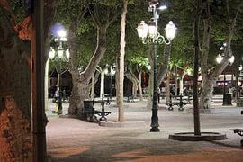Place de Lices - Saint Tropez - Zuid Frankrijk van whmpictures .com
