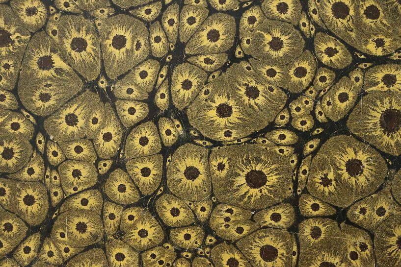 Digital art pattern colored marbled cells by Michael Godlewski