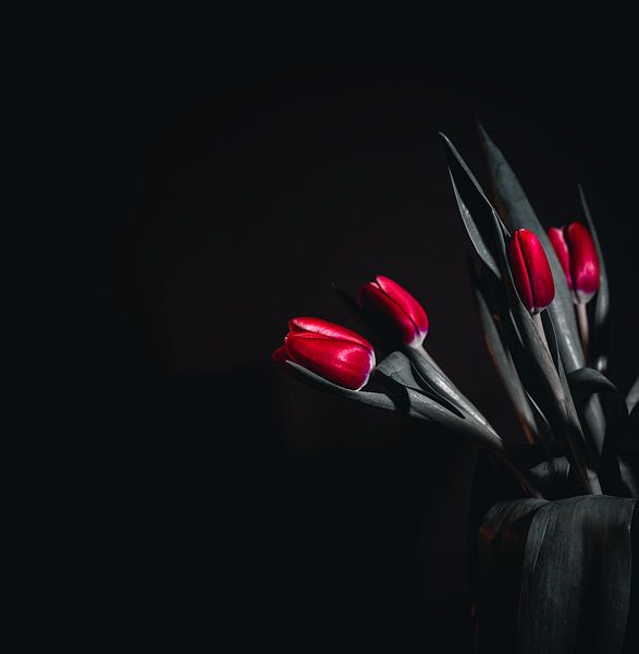 Tulpen von BAM