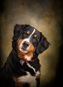 Hundemalerei mit Portraitfoto eines Berner Sennenhundes