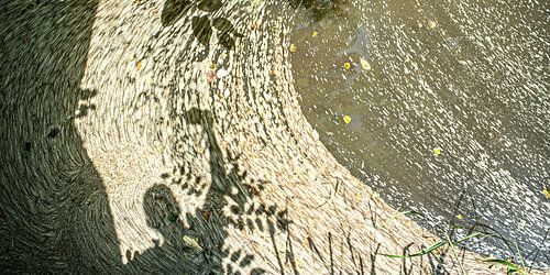 water vortex met schaduw