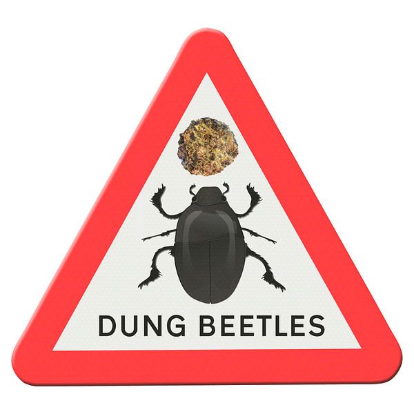 Mistkäfer-Warnschild von Grüntyers .