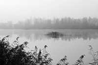 Spiegel des Nebels 2