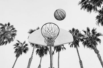 Basketbal van Kathrin Pienaar