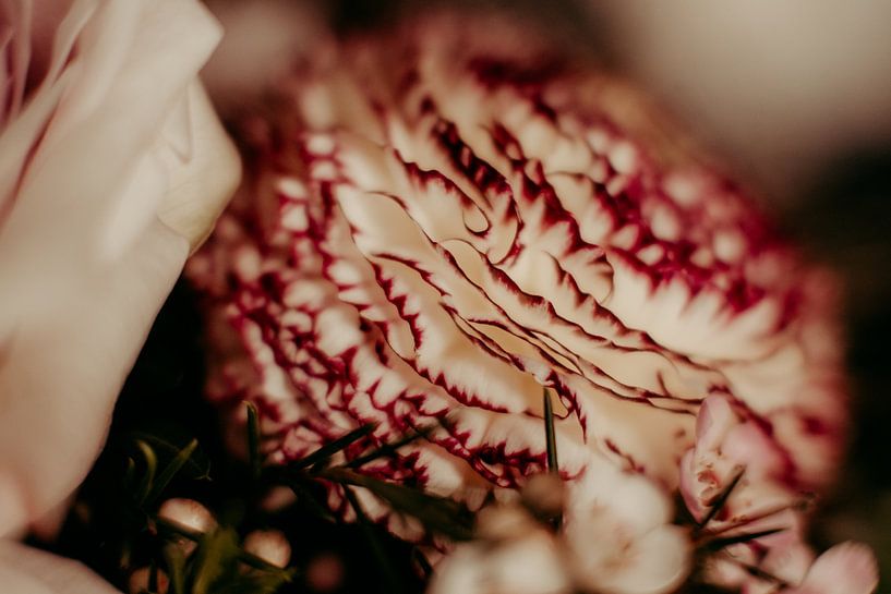 Flowers by Denny Lerch