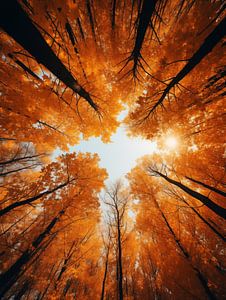 Automne dans la forêt
