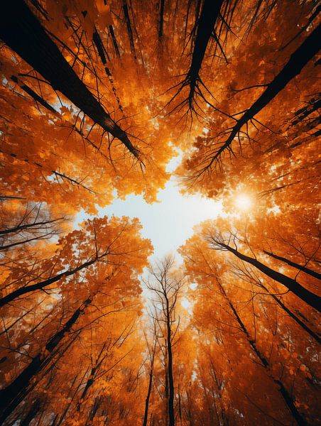 Herfst in het bos van Koffie Zwart
