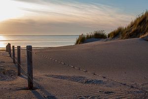 Dunes d'Ouddorp