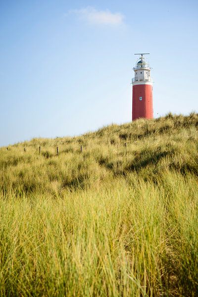 Vuurtoren van Texel van Sjoerd van der Wal Fotografie