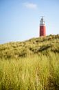 Vuurtoren van Texel van Sjoerd van der Wal Fotografie thumbnail