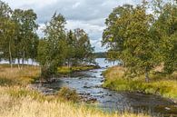 River in Schweden Nr. 4 von Geertjan Plooijer Miniaturansicht