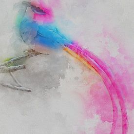 Aquarelle numérique d'un oiseau coloré sur Gelissen Artworks