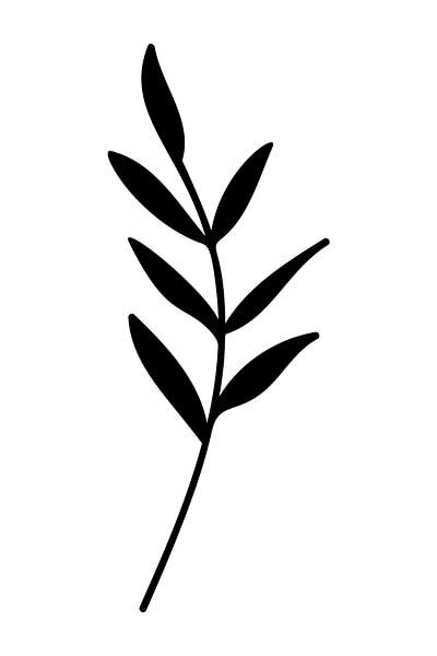 Notions de botanique. Dessin en noir et blanc de feuilles simples no. 3 par Dina Dankers