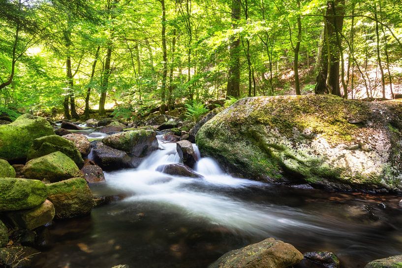 Ilse resin by Tim Lee Williams