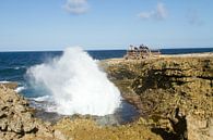 Curacao, rugged coast no. 12 by Arnoud Kunst thumbnail