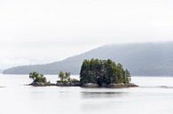 De wildernis van British Columbia van Emile Kaihatu thumbnail