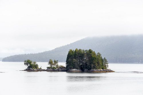 The wilderness of British Columbia