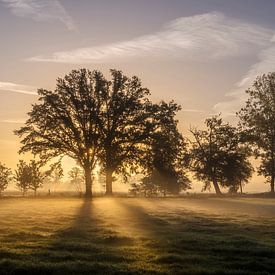 Magischer Morgen von mavafotografie