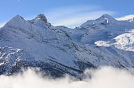 Alpen Zwitserland von Yannick  van Loon Miniaturansicht