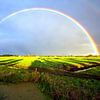 Regenboog van Johan Wouters