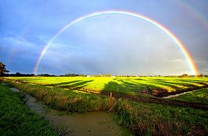 Arc-en-ciel sur Johan Wouters