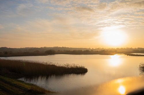 Zonsopkomst in de lente