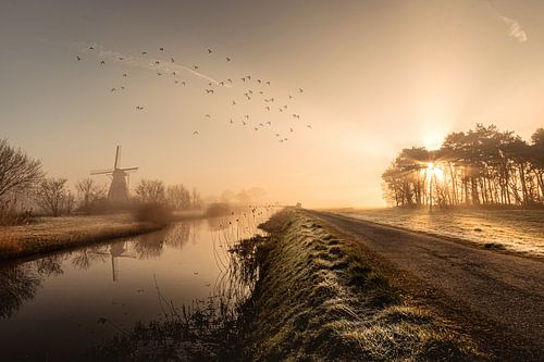 Matinée enchantée avec le moulin dans la brume
