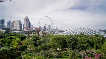 Singapore van Raymond Gerritsen