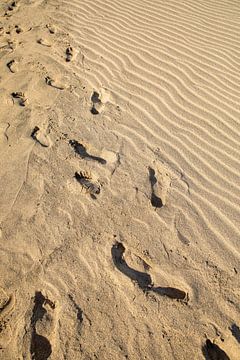 Footsteps in the sand by Laura V