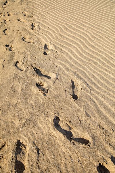 Des pas dans le sable par Laura V