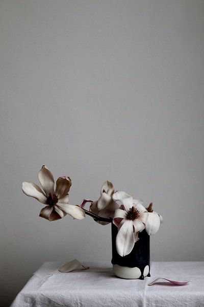 Still life wilted magnolia branch by Lilian Bisschop