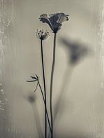 Still life of flowers with a weathered, vintage look