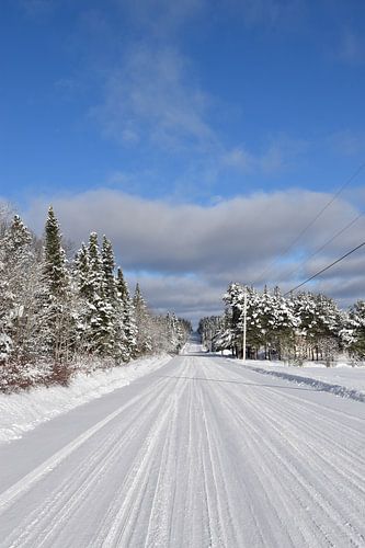 Een landweg in de winter