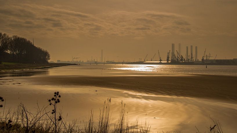 Oeverbos Vlaardingen - Nieuwe Waterweg - Botlek von Karen de Geus