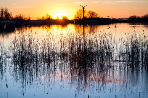 Sunset over the lake Lauwersmeer near Lauwersoog