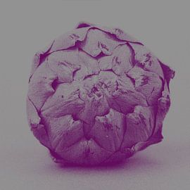 Artichoke