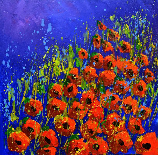 Poppies by pol ledent