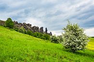 Landschaft mit Bäumen und Felsen im Harz van Rico Ködder thumbnail