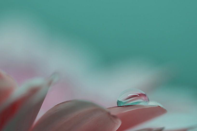 Tears in heaven by Jolanda van der Molen