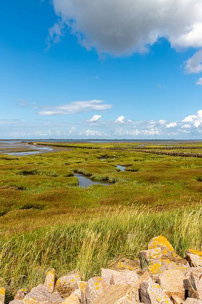 Zoutwaterweide in het Nationaal Park Waddenzeegebied van Alexander Wolff