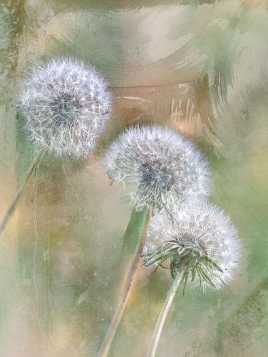 Art de la balle en peluche