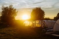 A long day on the farm.