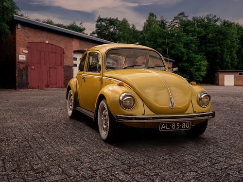 Coccinelle dans un décor nostalgique sur Robin Jongerden