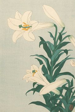 Lilies of Ohara Koson