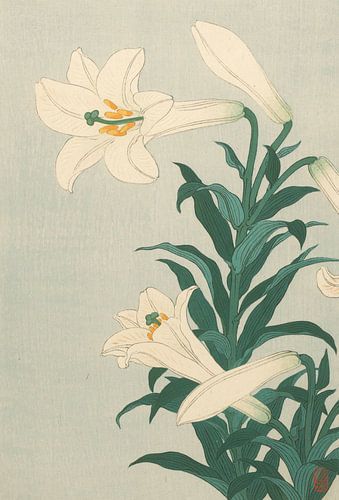Lys d'Ohara Koson